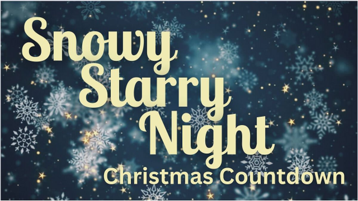 Snowy Starry Night Christmas Countdown image number 0